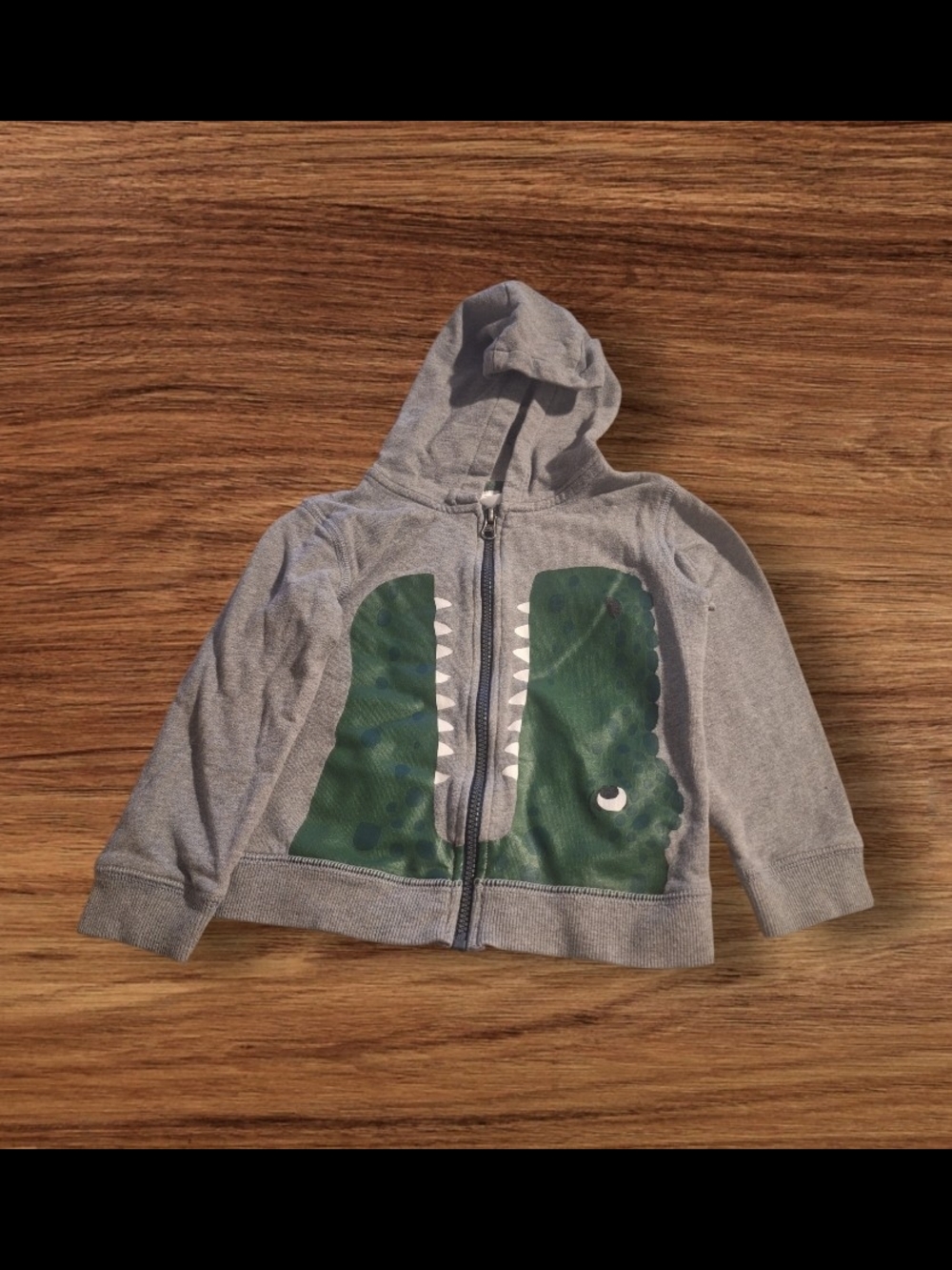 Carter's Gray Zip-Up Hoodie with Green Crocodile Graphic